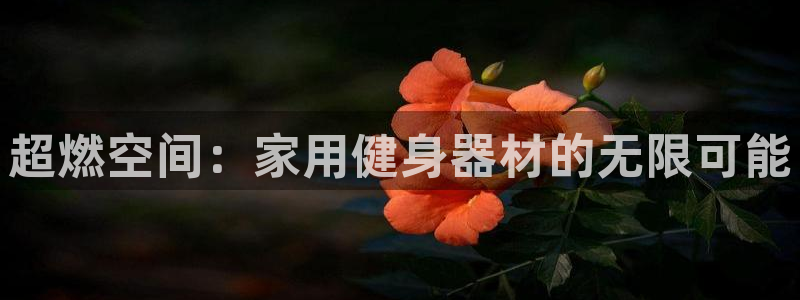 意昂4官方平台