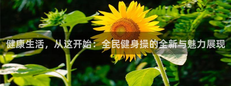 意昂4官方平台