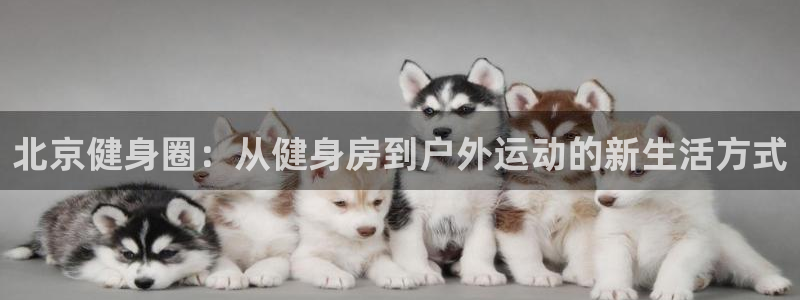 意昂4官网