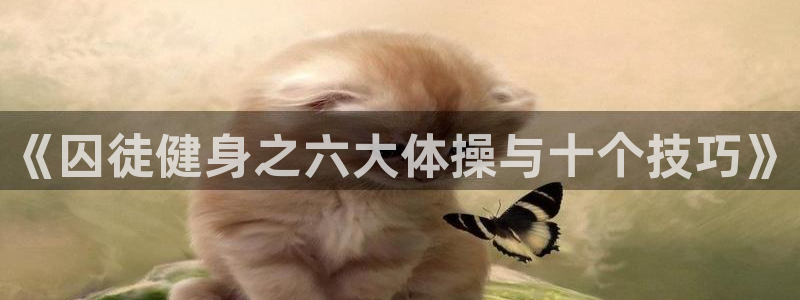 意昂4招商