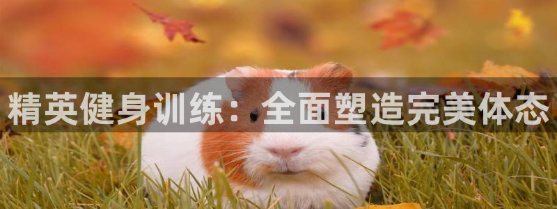 意昂4平台